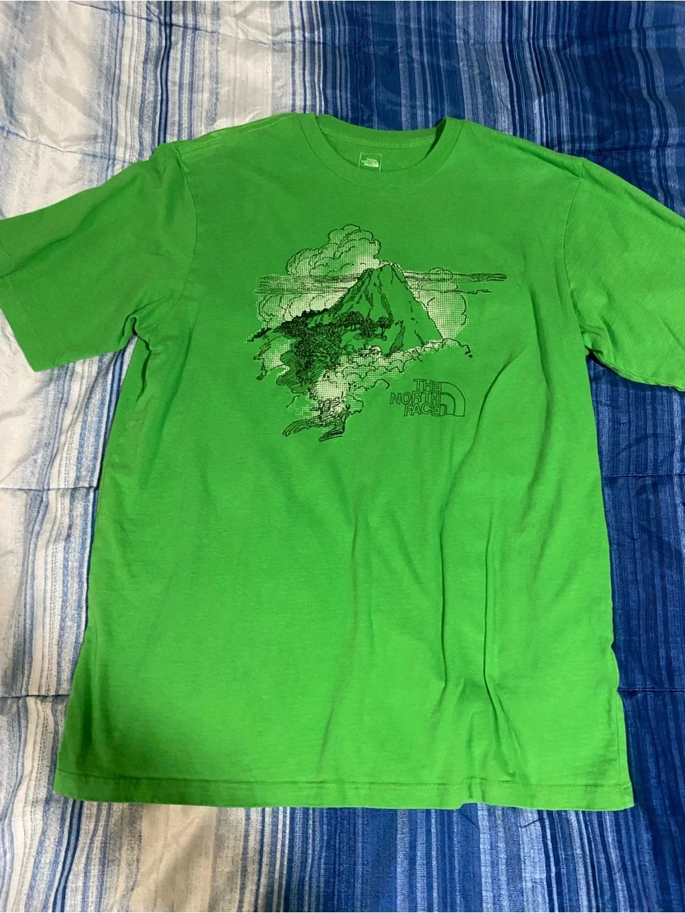 The North Face Men’s Green Logo Graphic Tees